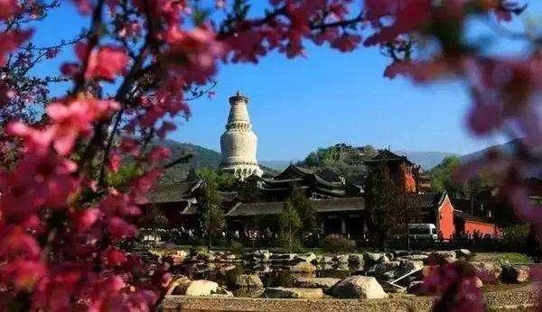 山西五台山风景名胜区:3月25日起对游客恢复开放
